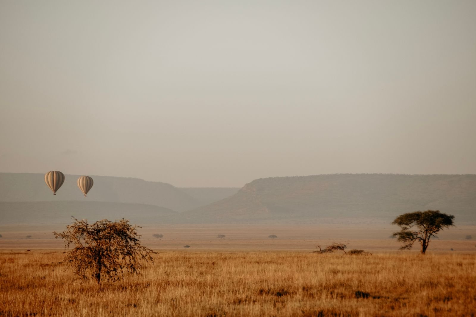Lake Manyara National Park