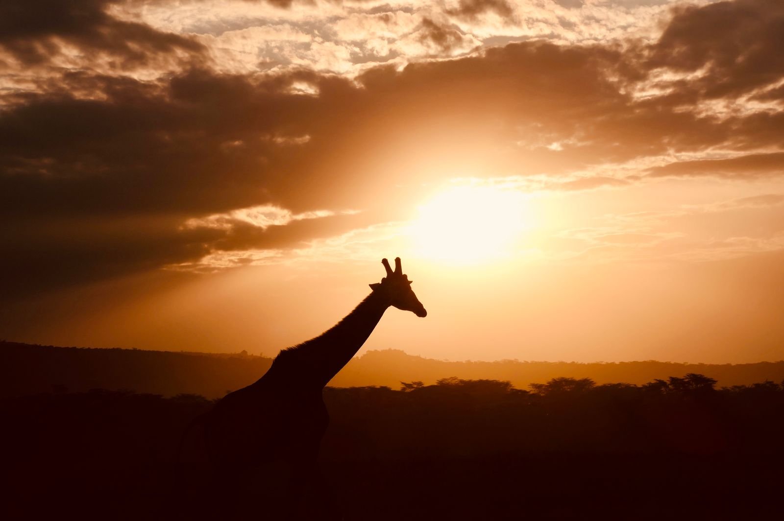 Tarangire National Park