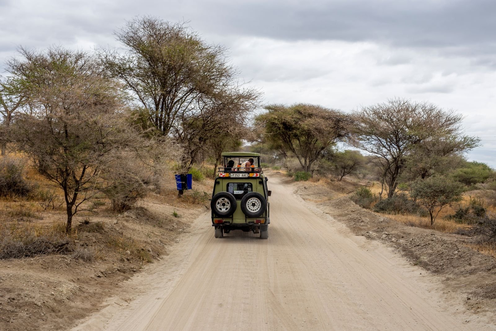 Tarangire National Park Day Trip
